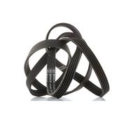 BOSCH 1 987 946 237 Courroie poly