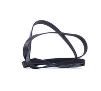 BOSCH 1 987 946 281 Courroie Poly-V