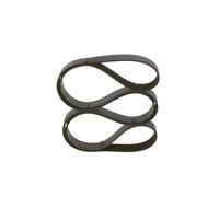 BOSCH 1 987 947 377 Courroie Poly-V