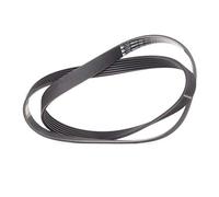 BOSCH 1 987 947 818 Courroie poly