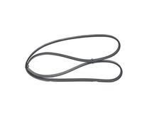 Bosch 1 987 947 907 Courroie poly