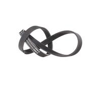 BOSCH 1 987 947 919 Courroie Poly-V