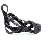 Bosch 1 987 947 956 Courroie poly