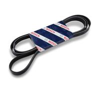 Courroie trapézoïdale à nervures BOSCH 1 987 945 981