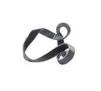 Bosch 1 987 948 342 Courroie poly, Grise