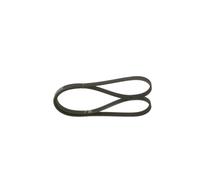 Bosch 1 987 948 365 Courroie poly