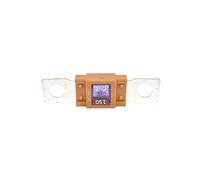 Bosch 1987531002 DE BIELLETTE DE FUSIBLE