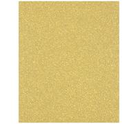 Bosch 1x Feuilles abrasives EXPERT C470 pour ponçage manuel (pour Peinture sur bois, Bois dur, Ø 230x280 mm, Grain 240, Professional Accessoire Ponçage manuel)