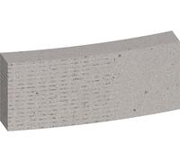 Bosch 1x Segments pour PRO Core Cutter wet, 1 1/4 pouce UNC | pour Béton, Béton armé, Professional Accessoire Foret diamanté