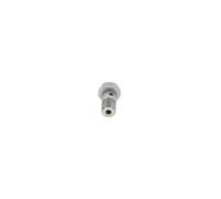 BOSCH 2 417 413 033 Gicleur, injection