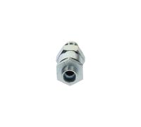 BOSCH 2 417 413 072 Gicleur, injection