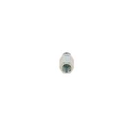 BOSCH 2 417 413 096 Gicleur, injection