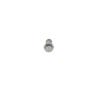 Gicleur, injection BOSCH 2 417 413 101