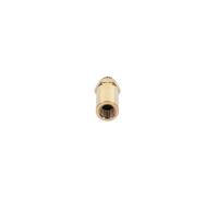 BOSCH 2 417 413 107 Gicleur, injection
