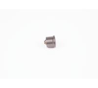 BOSCH 2 418 554 055 Soupape