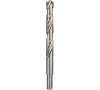 BOSCH Forets a métaux rectifiés HSS-G, DIN 338 15 x 114 x 169 mm 2608585594