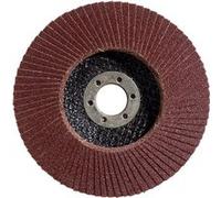 Bosch Accessories 2608603657 X431 Disque segmenté Diamètre 125 mm Ø de perçage 22.33 mm Grain 60 acier 1 pc(s)