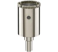 Bosch 2609256C87 Diamant