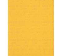 Bosch 50x Expert C470 Papier abrasif pour ponçage à la main 230 x 280 mm G 240 - 2608900965