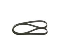 Bosch Courroie trapézoïdale nervurée 6PK1215 1987948391
