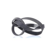 Bosch Courroie trapézoïdale à nervures 1 987 947 885 6PK1230