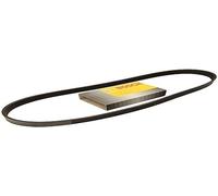 Bosch 7PK1930 - Courroie trapézoïdale nervurée - 1987948320