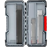 BOSCH Coffret PRO Wood and Metal Rough Cut, 100 mm, 30 pieces 2607011946