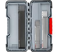 Bosch Accessories 2607011946 SET PRO Wood and Metal Rough Cut, 100 mm 1 pc(s)