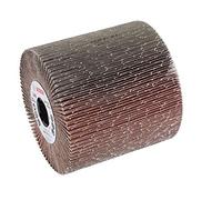 Bosch Accessories 2608000596 Rouleau à lamelle 19 mm 100 mm 100 mm 40
