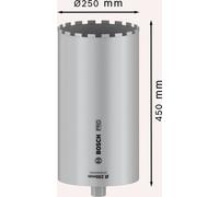 Bosch Accessories 2608601801 2608601801 Scie-cloche 250 mm 1 pc(s)