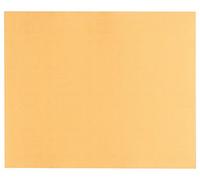 Bosch Accessories 2608608692 Feuille abrasive/disque abrasif C470 230 x 280 mm 150