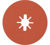 Bosch Accessories 2608621810 Disque en fibres Diamètre 125 mm 80 5 pc(s)