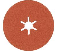 Bosch Accessories 2608621817 Disque en fibres Diamètre 100 mm acier, acier inoxydable 25 pc(s)