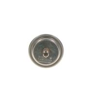 Bosch Accumulateur de pression de carburant 0 438 170 055
