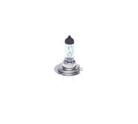 Bosch Ampoule à incandescence 1987301013 | Compatible avec: ABARTH 500 / 595 / 695, 500C / 595C / 695C, ALFA ROMEO 147, AUDI A3, A3, A3 Sportback, A4 B5, A4 B5 Avant