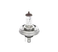 Bosch Ampoule à incandescence 1987301021 | Compatible avec: ALFA ROMEO 33, AUSTIN MINI II, CITROËN AX, C15 Kasten/Großraumlimousine, C15 Kombi, GS, GS Break, VISA