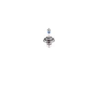BOSCH Ampoule projecteur longue portée VW FORD RENAULT 2,0 1,6 0050185