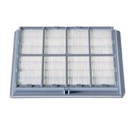 Bosch BBZ8SF1 Filtre HEPA pour aspirateur