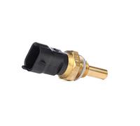 Bosch Sonde de température du liquide de refroidissement 0 281 002 169