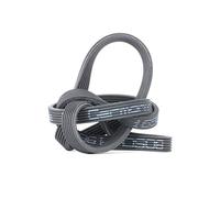 BOSCH 1 987 946 215 Courroie Poly-V