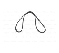 BOSCH Courroie Trapézoïdiale pour BMW 1er 118d 116d 120d 123d 3er Touring