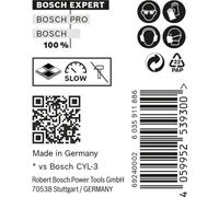 Bosch Expert CYL-9 MultiConstruction