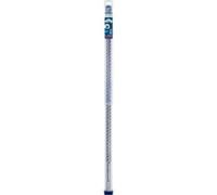 Bosch Expert Foret SDS Max-8X
