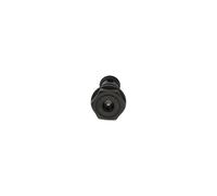 BOSCH F 00N 203 165 Gicleur, injection
