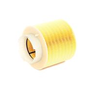 Bosch S0198 Filtre à Air Automobile - Sépare les Particules de l'Air d'Admission, Résiste à l'Humidité et à la Tension