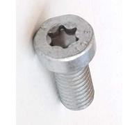 Bosch F01M100684 Vis Torx
