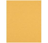 Bosch Feuille abrasive EXPERT C470 pour ponçage manuel Ø 230x280 mm Grain 100