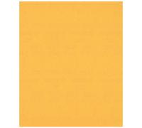 BOSCH Feuille abrasive EXPERT C470 pour ponçage manuel 230 x 280 mm, G 220 2608900964