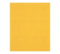 Bosch 1x Feuilles abrasives EXPERT C470 pour ponçage manuel (pour Peinture sur bois, Bois dur, Ø 230x280 mm, Grain 240, Professional Accessoire Ponçage manuel)