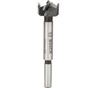 Bosch Forked Hollow Point 22X90 avec carbure